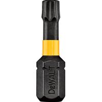 DeWALT DWA1TS10IR2 Screwdriver Bit, T10 Drive, Torx Drive, 1 in L