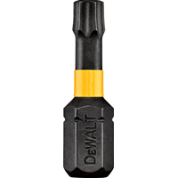 DeWALT DWA1TS25IR2 Screwdriver Bit, T25 Drive, Torx Drive, 1 in L