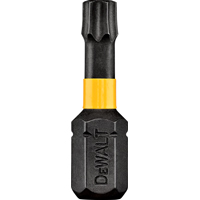 DeWALT DWA1TS30IR2 Screwdriver Bit, T30 Drive, Torx Drive, 1 in L