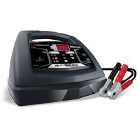 STARTER/CHARGER 100/30/12/2A