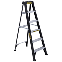 DXL3110-06 STEPLADDER TYPE I