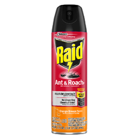 ANT/ROACH SPRAY ORANGE 17.5OZ