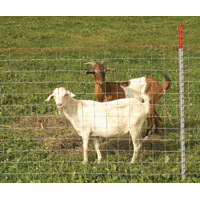4x4x48x330 Goat Field Fence