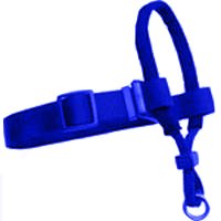 0380006 LG BLUE DOG HALTER