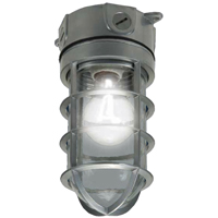 100W Vapor Tight Light