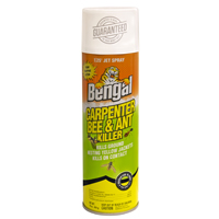 KILLER CPNTR BEE&ANT FOAM 16OZ