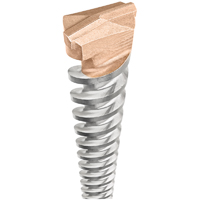 BIT MSNRY SDS MAX 8X13-1/2IN