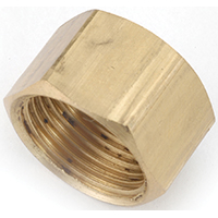 1/2" COMPRESSION CAP 2PK BRS