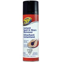 CASPOT19 CARPET SPOT CLEANER