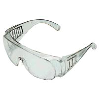 Safety Glasses Economy Msi