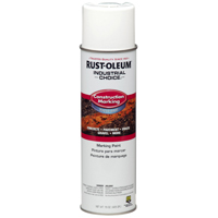 PAINT MARKING CNSTRN WHT 17OZ