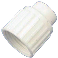 CAP PEX POLY 3/8 IN