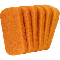 REFILL SCRUBBING PAD 10 COUNT
