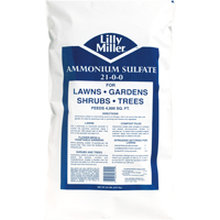 FERT LWN AMMONIUM SULFATE 20LB