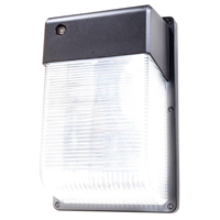 LED SECURITY LED LIGHT