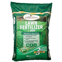 FERTILIZER W/IRON 29-0-4 15M