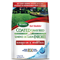 12544 TB WS SEED BLUEGRASS SUN
