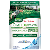 12557 TB WS SEED DENSE SHADE