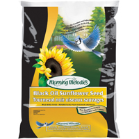 1022306 BLACKOIL SUNFLOWER 8#