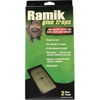 NEO-116230 RAT GLUE TRAPS 2PK