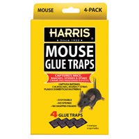 Trap Glue Mouse 4 Pk