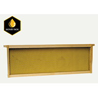 FRAMES/FOUNDATION MEDIUM