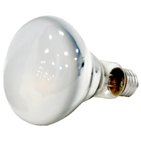 15160 REFL FLOOD BULB65W BR30