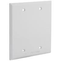 BLANK COVER 2G BOX MOUNT WHITE