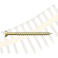 WSNTL2LS COLLAT SCREW #8X2"