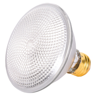 FLOODLIGHT HALOGEN PAR30 39W