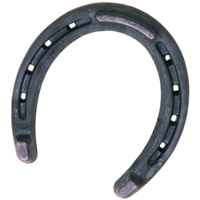 0HB HORSESHOE HEELED BRONCO