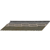 PT-S12D131GFH 3-1/4GAL FRMNAIL