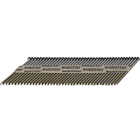 PT-S12D131EPFH 3.5X.131 PPR NL