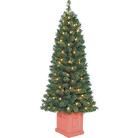 TOPIARY ELWOOD CLEAR LED UL