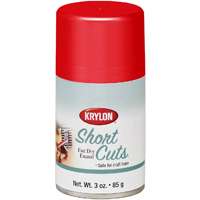 KRYLON SPRAY PAINT SHORT CUTS RE
