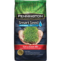 118919 SEED/SUN & SHADE MIX