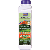 SEED GRASS DENSE SHADE .75LB