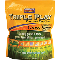 SEED GRASS RYE TRIPLE PLAY 3LB