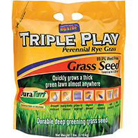 SEED GRASS RYE TRIPLE PLAY 7LB