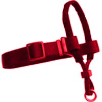 0380005 LG RED DOG HALTER