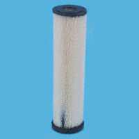 Pentair RS1-DS12-S18 Water Filter Cartridge, 20 um Filter, Water Filter