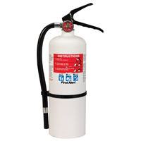 EXTINGUISHER FIRE 2A10BC WHITE