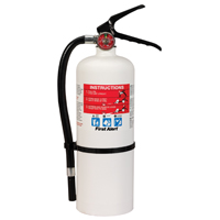 FIRST ALERT HOME2 Rechargeable Fire Extinguisher, 5 lb Capacity,