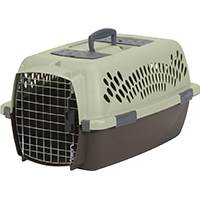 21088 PET TAXI MEDIUM