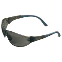 MSA-10038846 SAFETY GLASSES SMOK