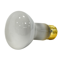 BULB REFLEC FLDLT FRO R20 30W