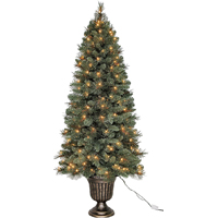 TOPIARY ELLSTON 5FT CLEAR UL