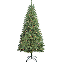TREE DOUGLAS 7FT MULTI UL