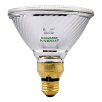 SYL-HAL 70W PAR38 SPOT LIGHT 70P