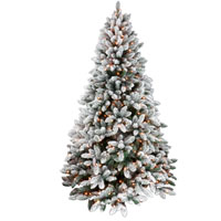 TREE NBLE FIR PRELIT CLR 4.5FT